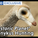 Dinosaurs Roam The 'Prehistoric Planet' In Exclusive Clip From The Apple TV+ Show